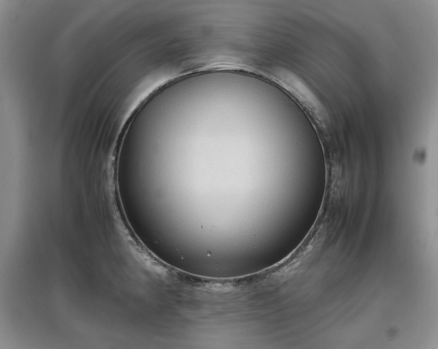X0000097601190200803071423