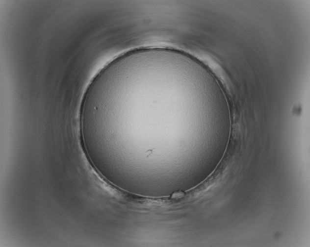 X0000097601191200803071423