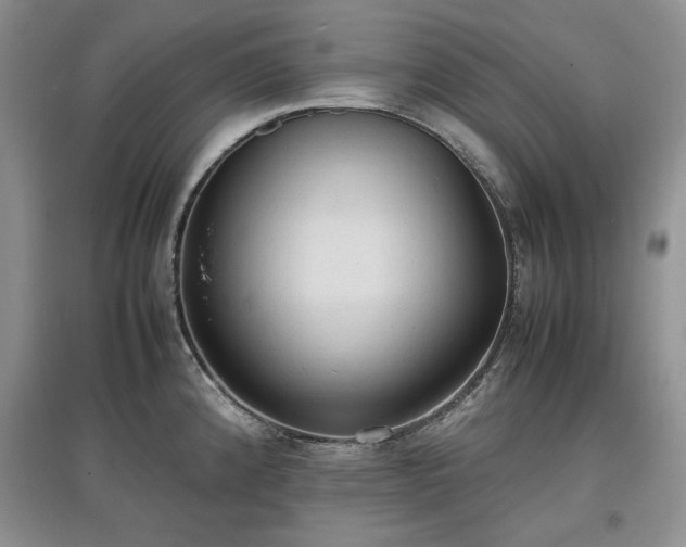 X0000097601192200803071423