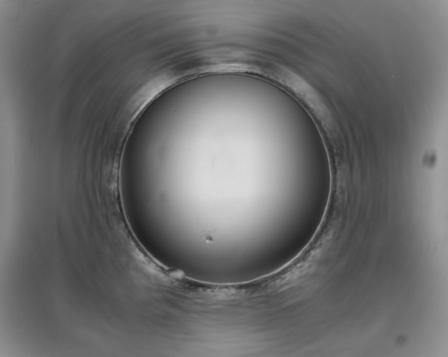 X0000097601193200803071423