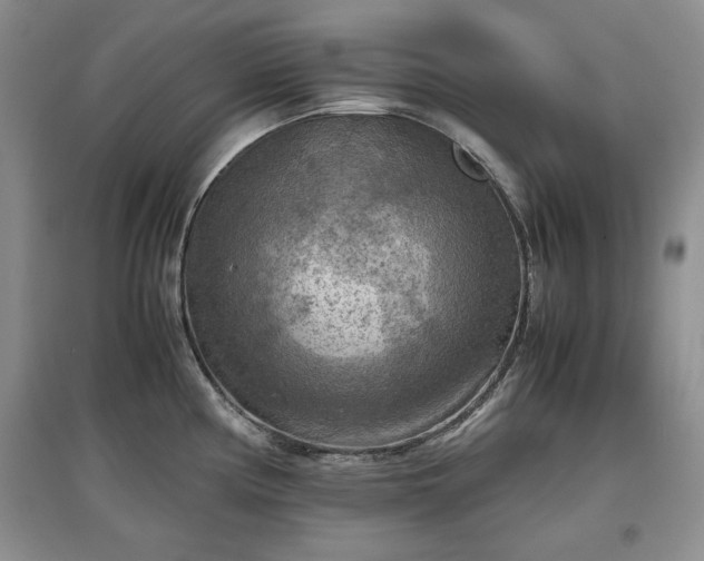 X0000097601194200803071423