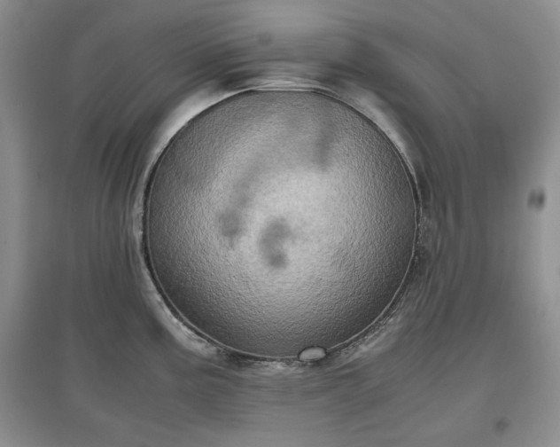 X0000097601195200803071423