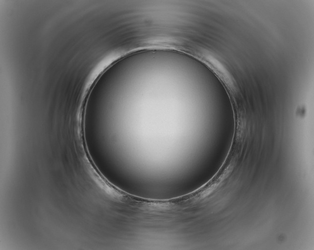 X0000097601196200803071423