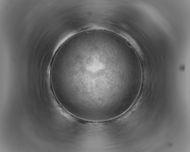 X0000097601198200803071423