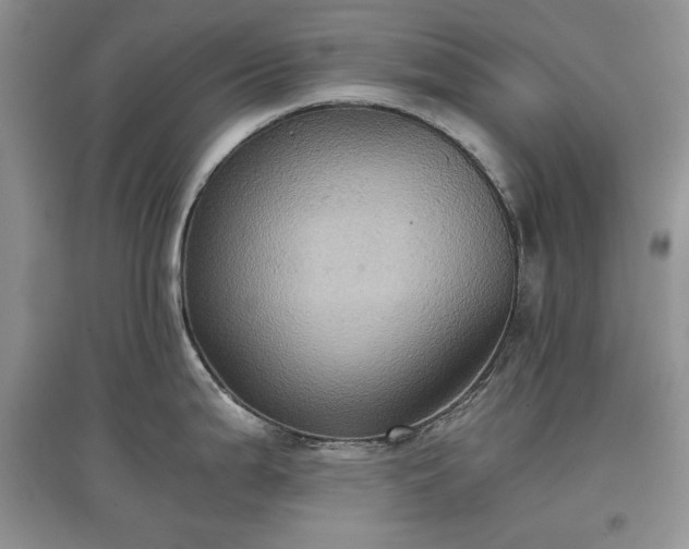 X0000097601199200803071423