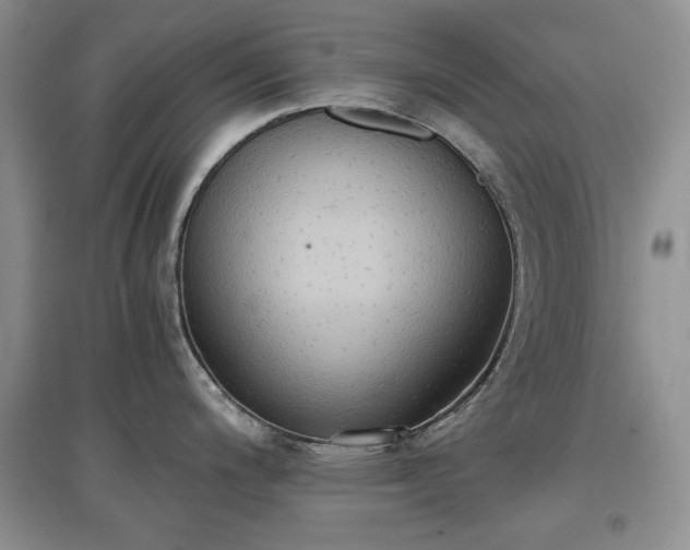 X0000097601200200803071423