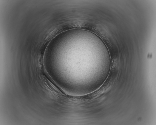 X0000097601202200803071423