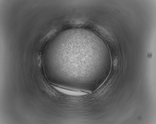 X0000097601204200803071423