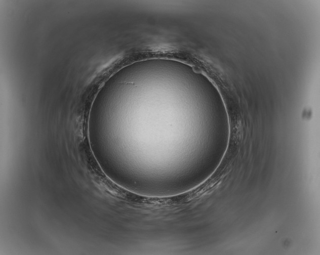 X0000097601205200803071423