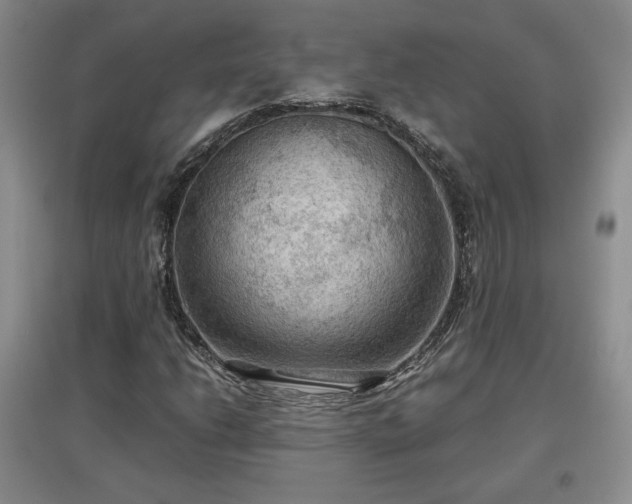 X0000097601206200803071423