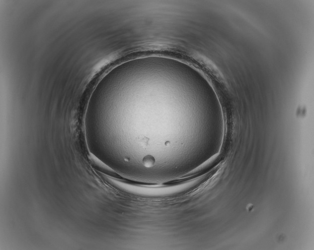 X0000097601210200803071423