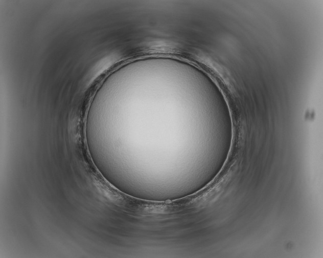 X0000097601211200803071423
