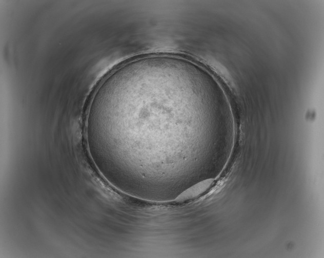 X0000097601212200803071423