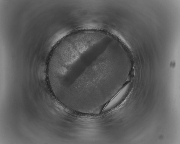 X0000097601213200803071423