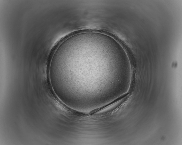 X0000097601214200803071423
