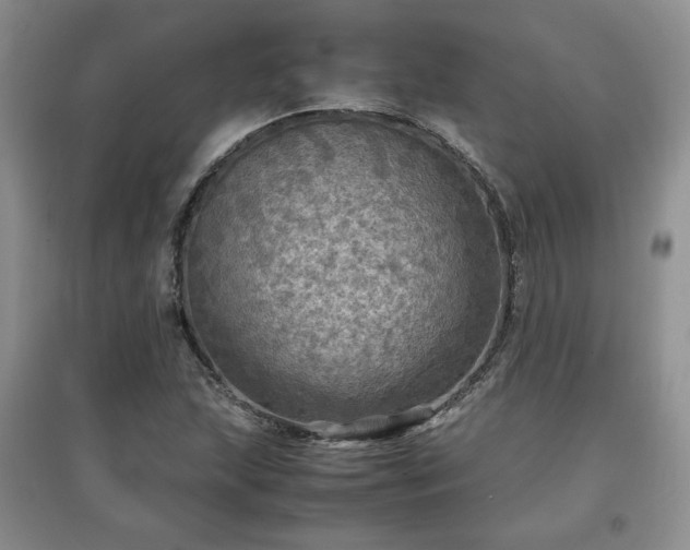 X0000097601215200803071423