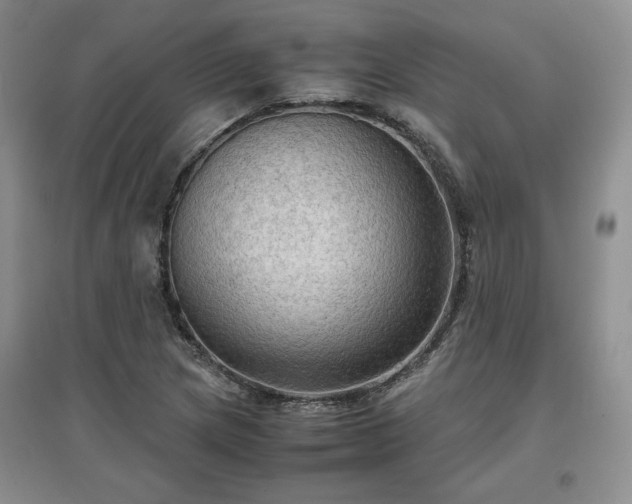 X0000097601217200803071423
