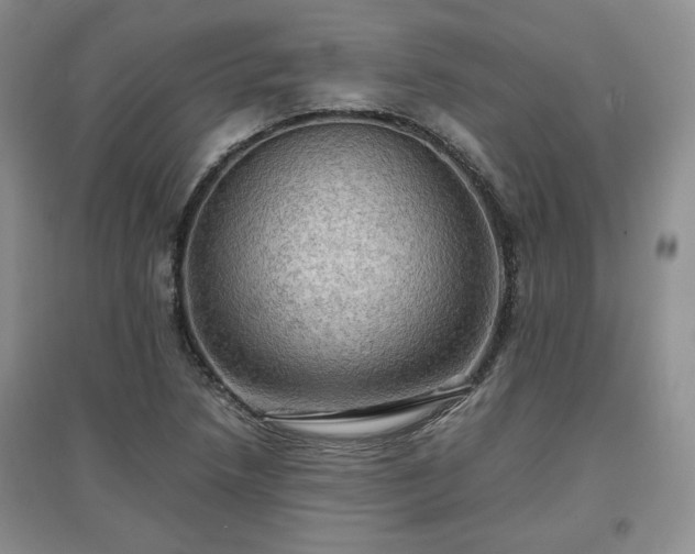 X0000097601218200803071423