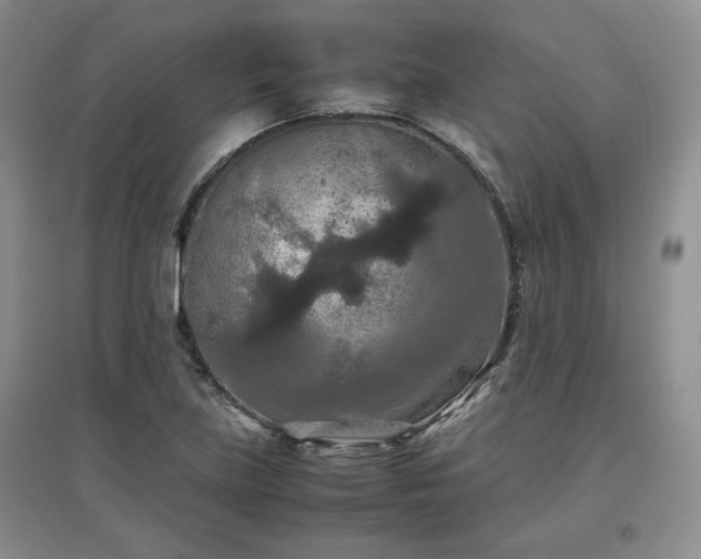 X0000097601219200803071423
