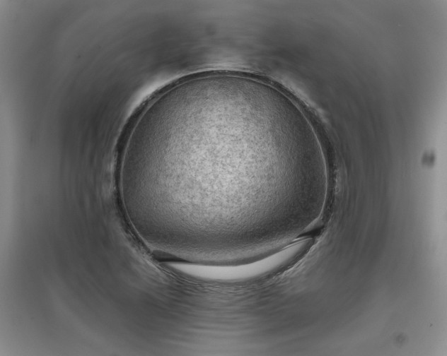 X0000097601222200803071423