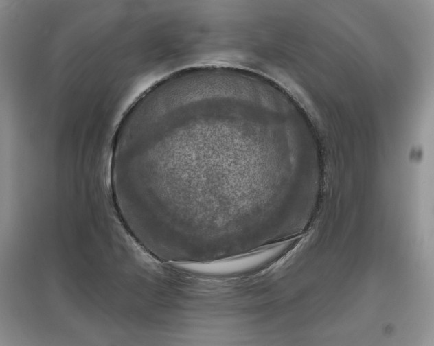 X0000097601224200803071423