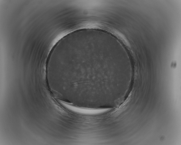 X0000097601226200803071423