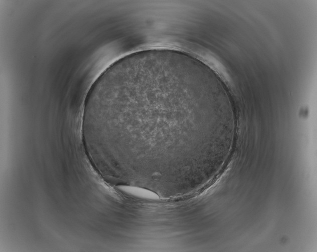 X0000097601228200803071423