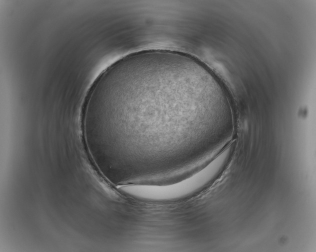 X0000097601230200803071423