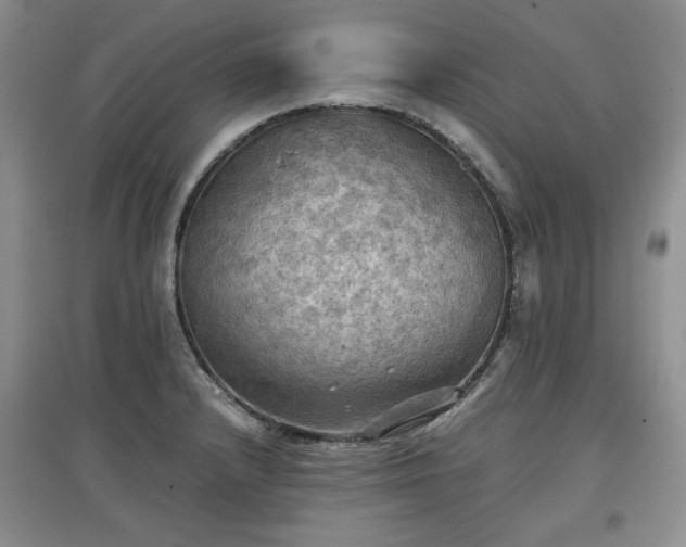 X0000097601232200803071423