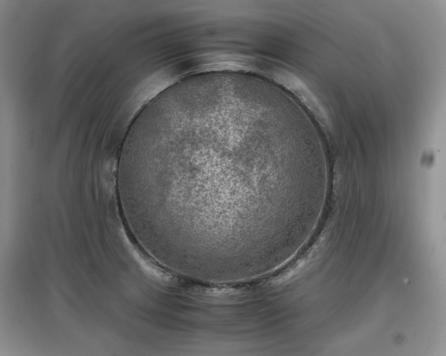 X0000097601233200803071423