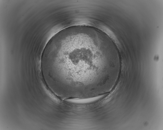 X0000097601234200803071423