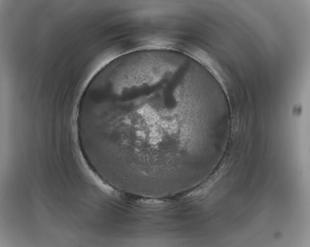 X0000097601235200803071423