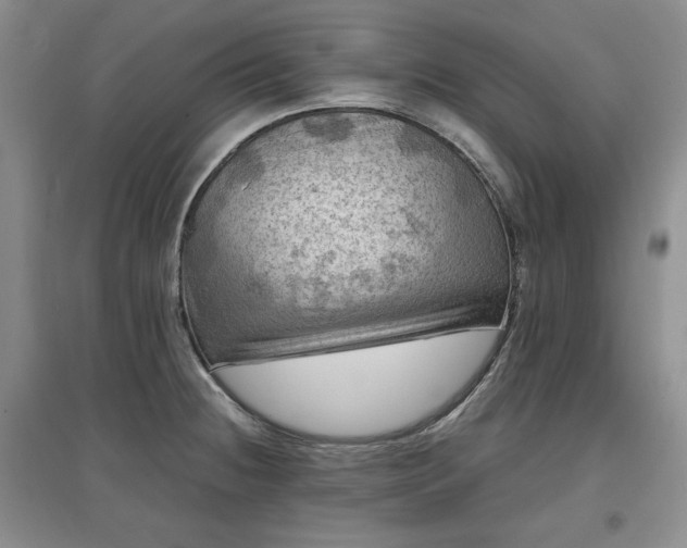 X0000097601236200803071423