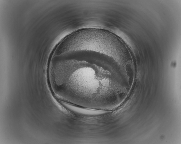 X0000097601237200803071423