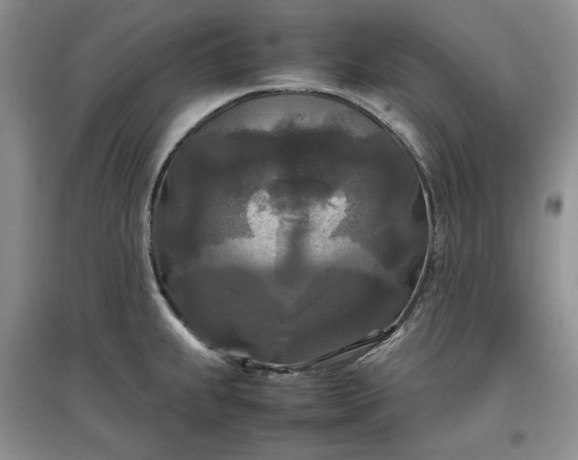 X0000097601239200803071423