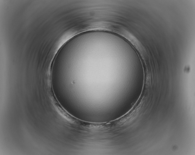 X0000097601242200803071423