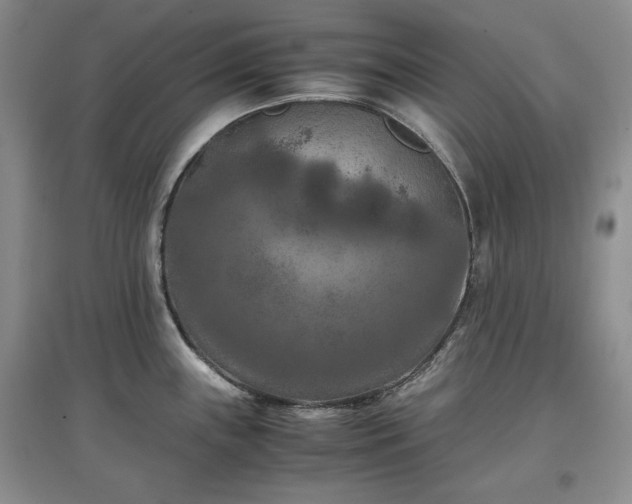 X0000097601243200803071423
