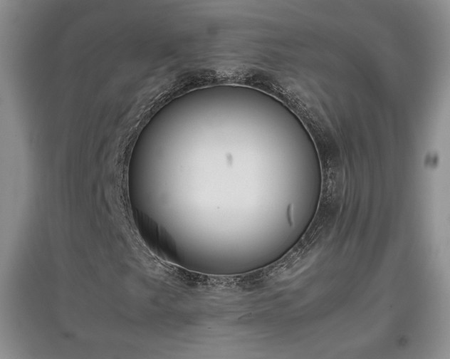 X0000097601249200803071422