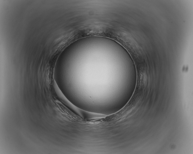 X0000097601250200803071422
