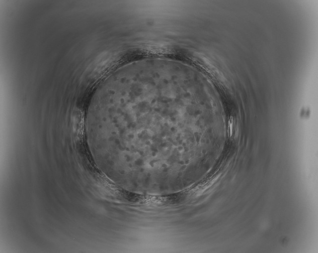 X0000097601251200803071422