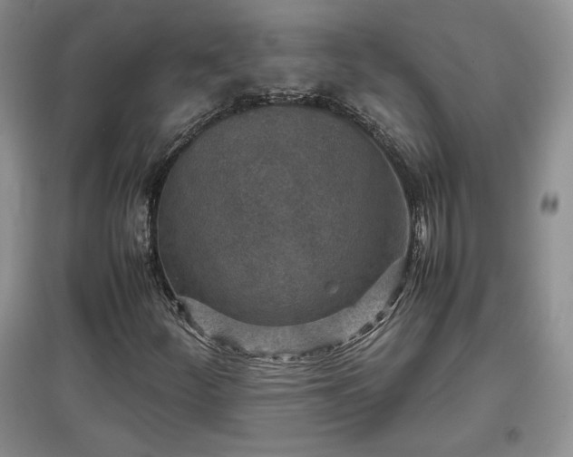 X0000097601252200803071422