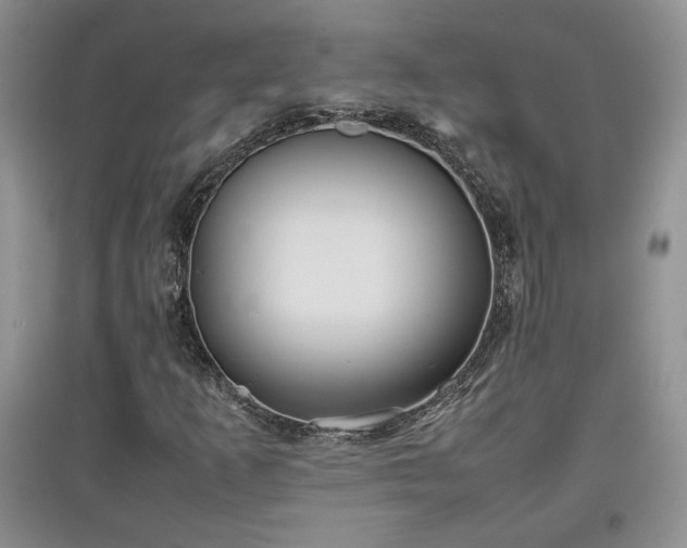 X0000097601253200803071422