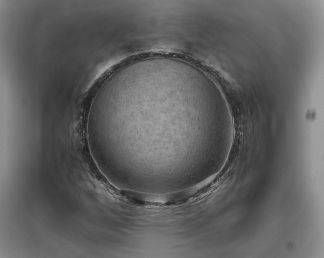 X0000097601256200803071422