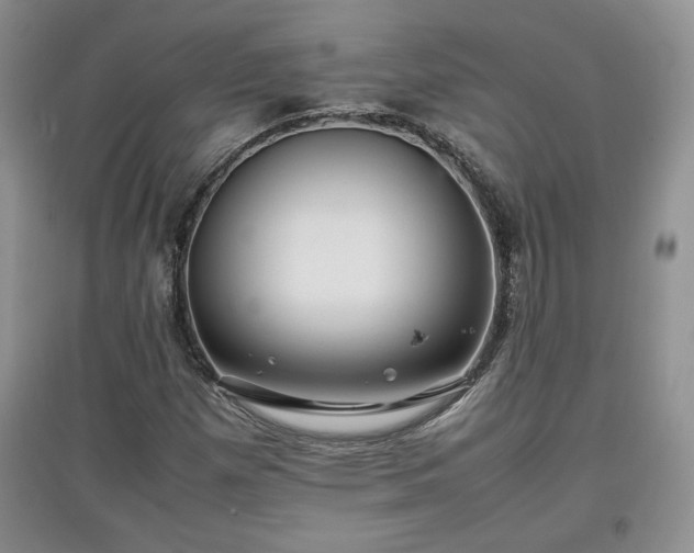 X0000097601257200803071422