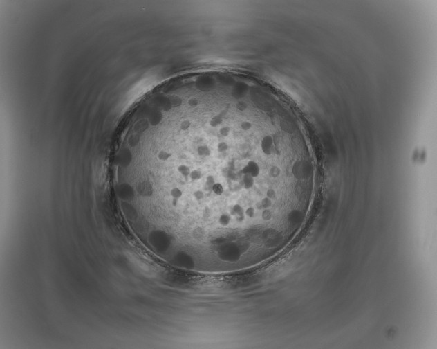 X0000097601259200803071422