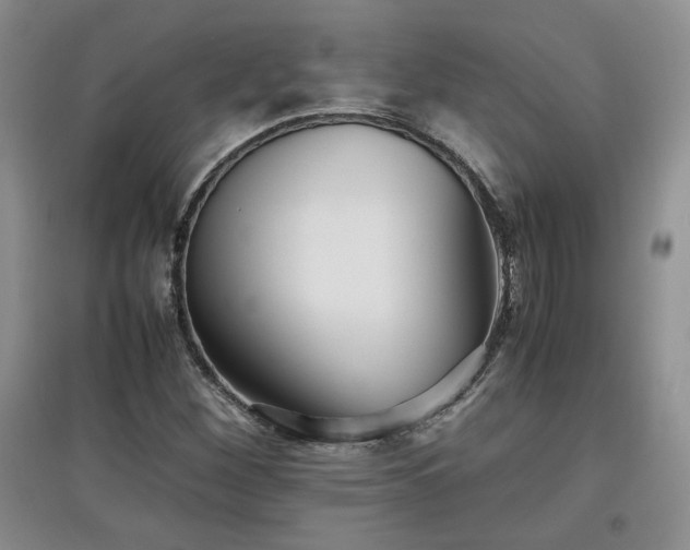 X0000097601260200803071422