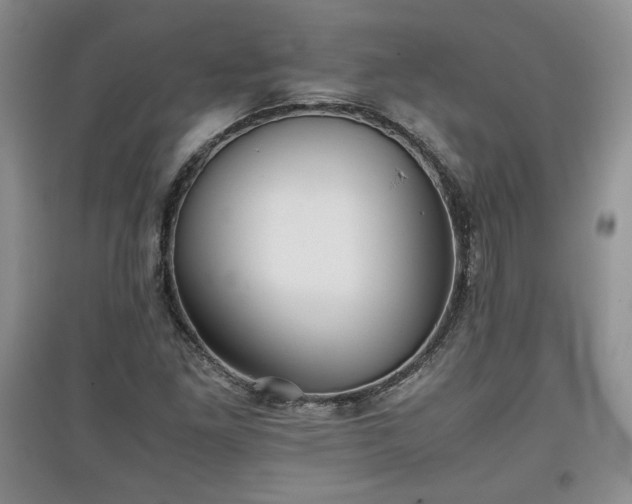 X0000097601261200803071422