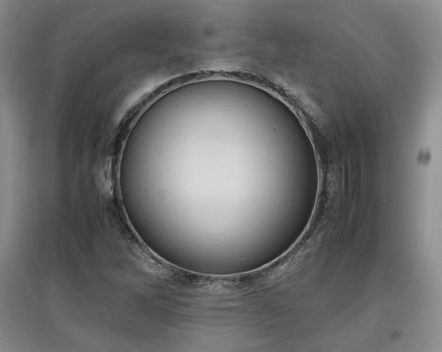 X0000097601262200803071422