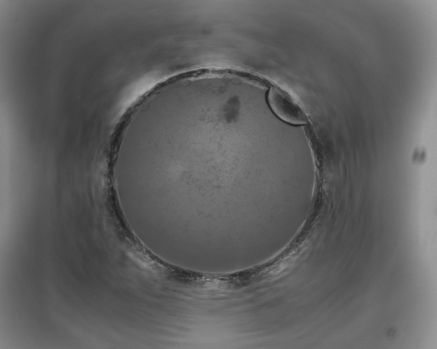 X0000097601263200803071422