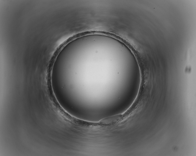 X0000097601264200803071422